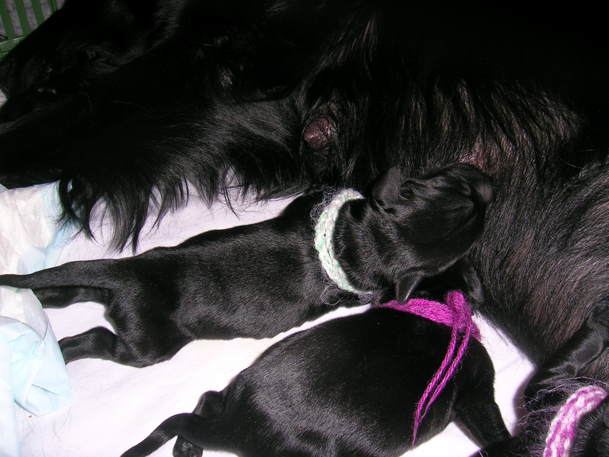 DSCN3361.JPG