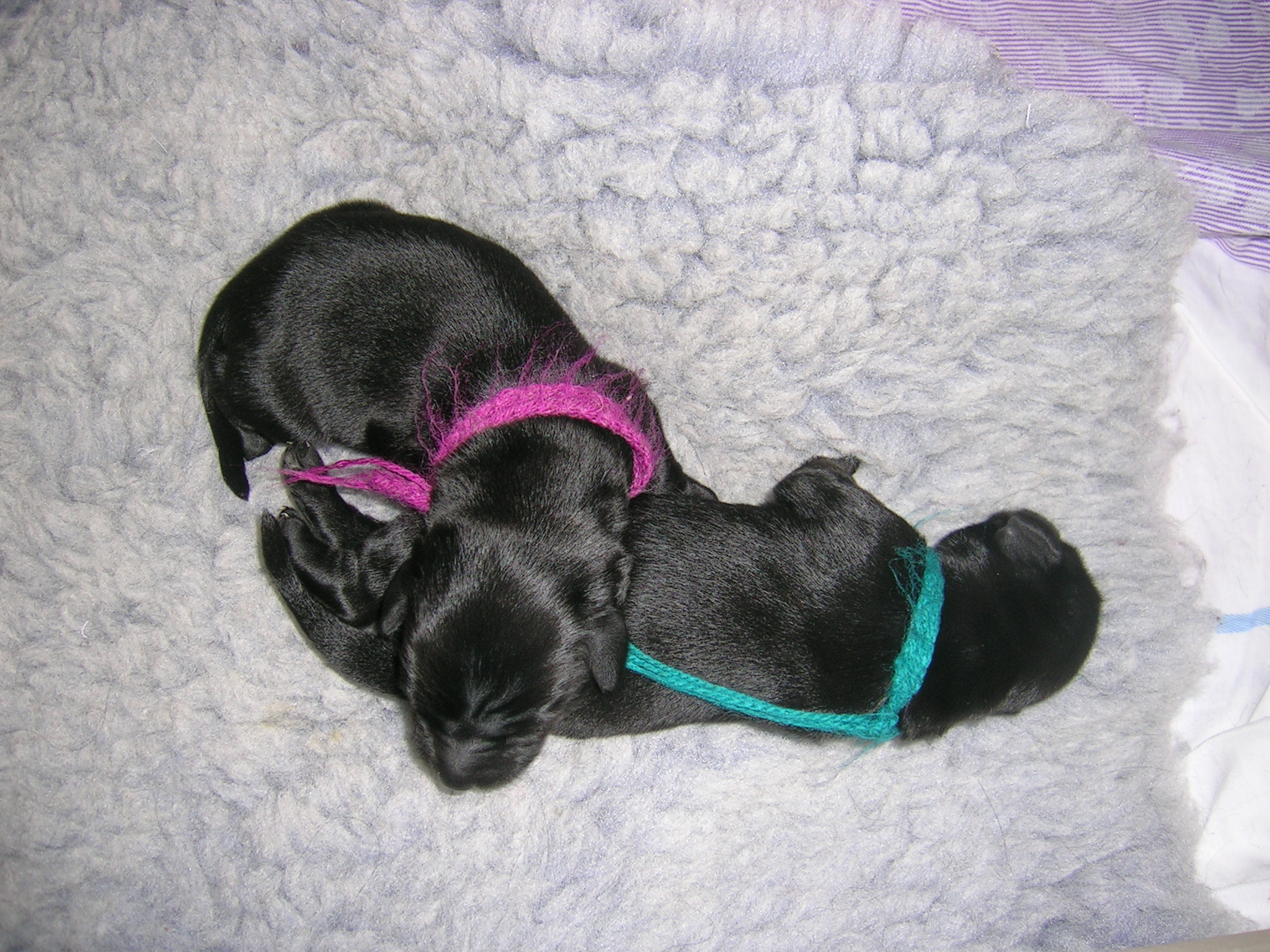 DSCN3397.JPG