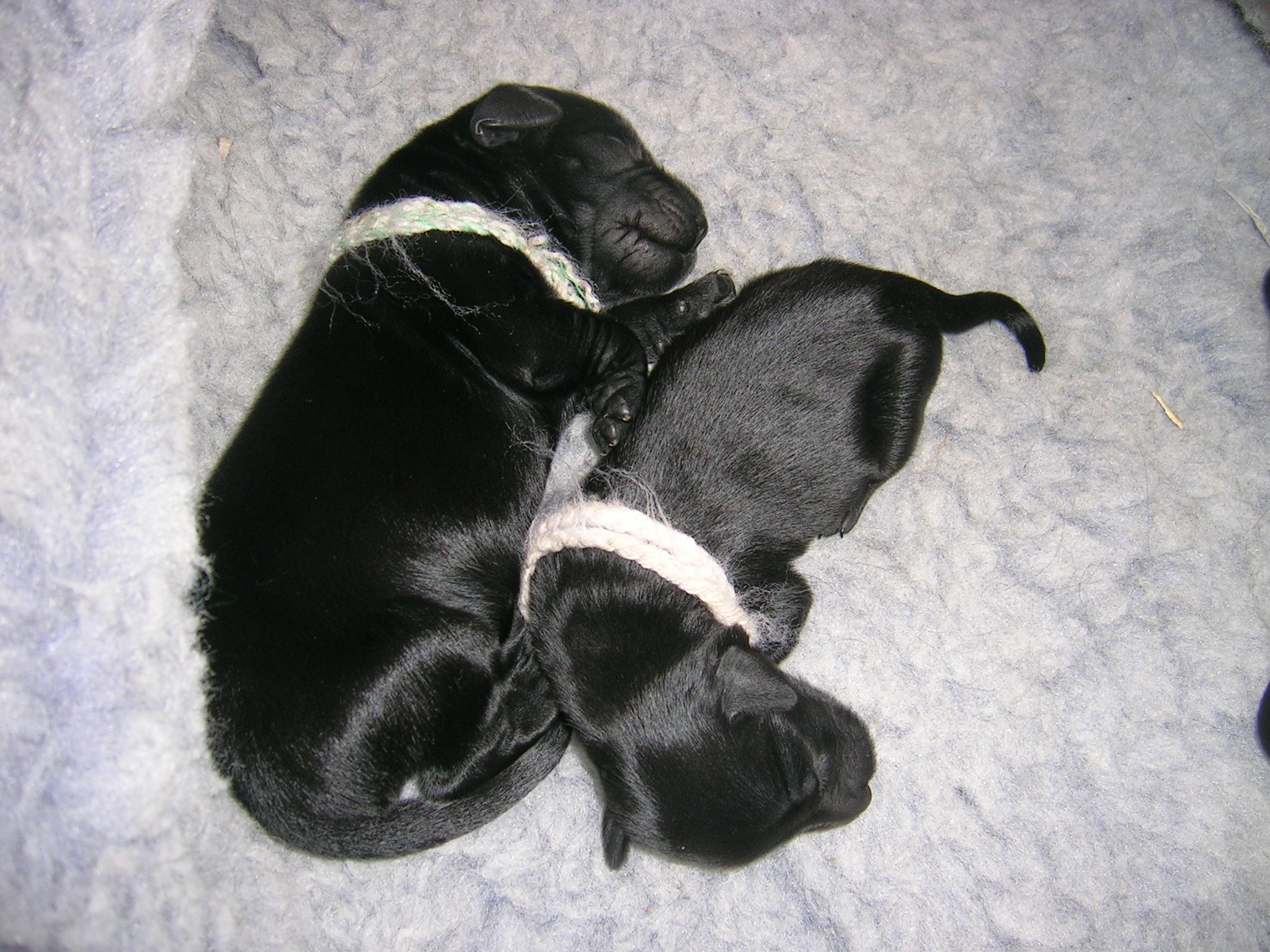 DSCN3380.JPG