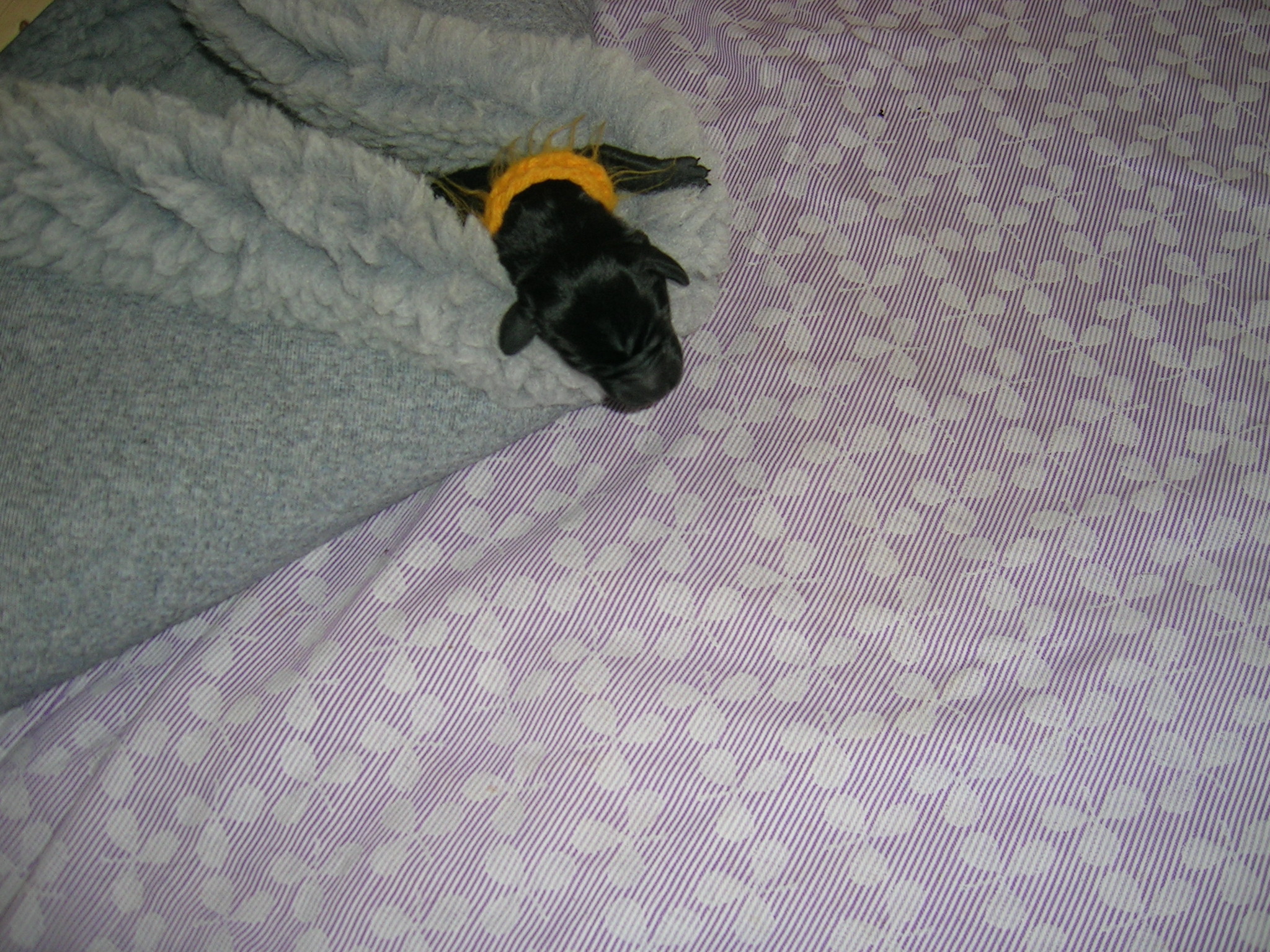 DSCN3379.JPG
