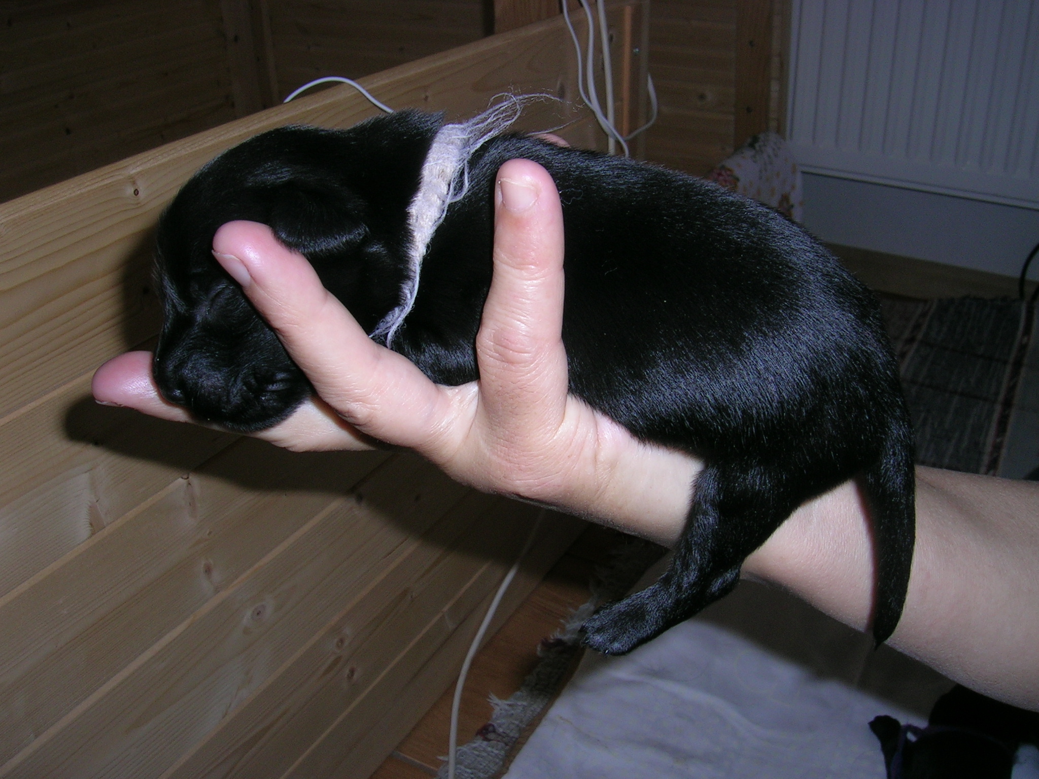 DSCN3436.JPG