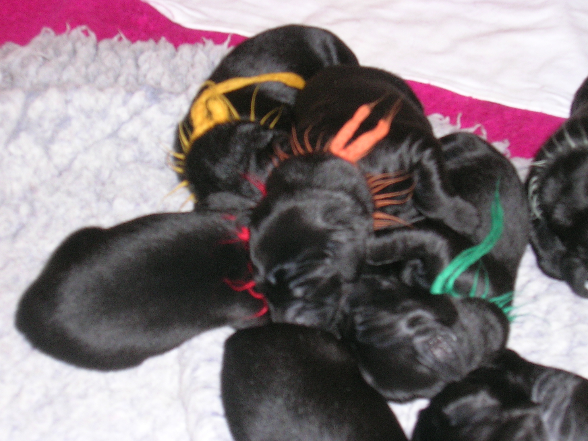 DSCN5906.JPG