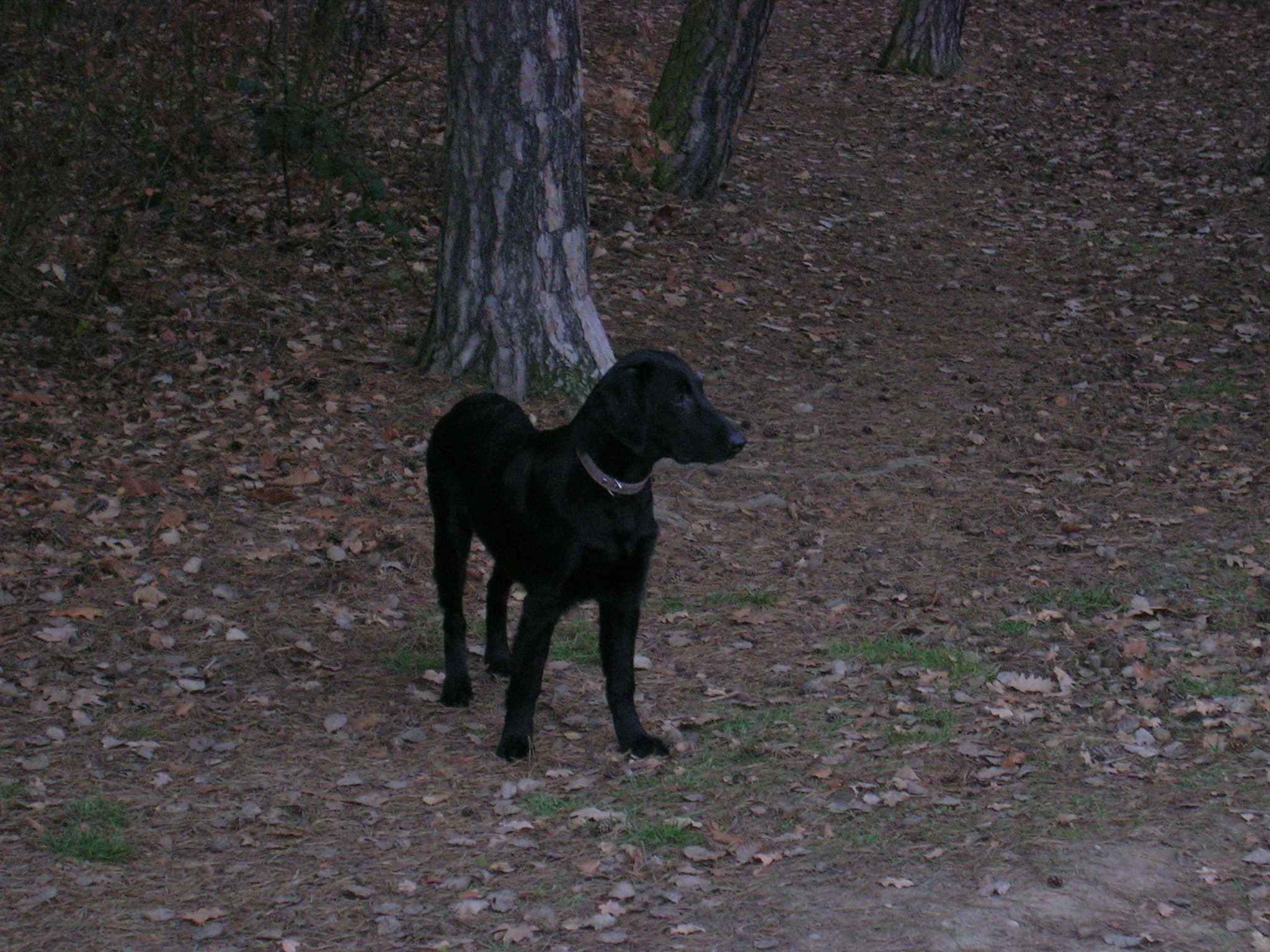 DSCN6514.JPG
