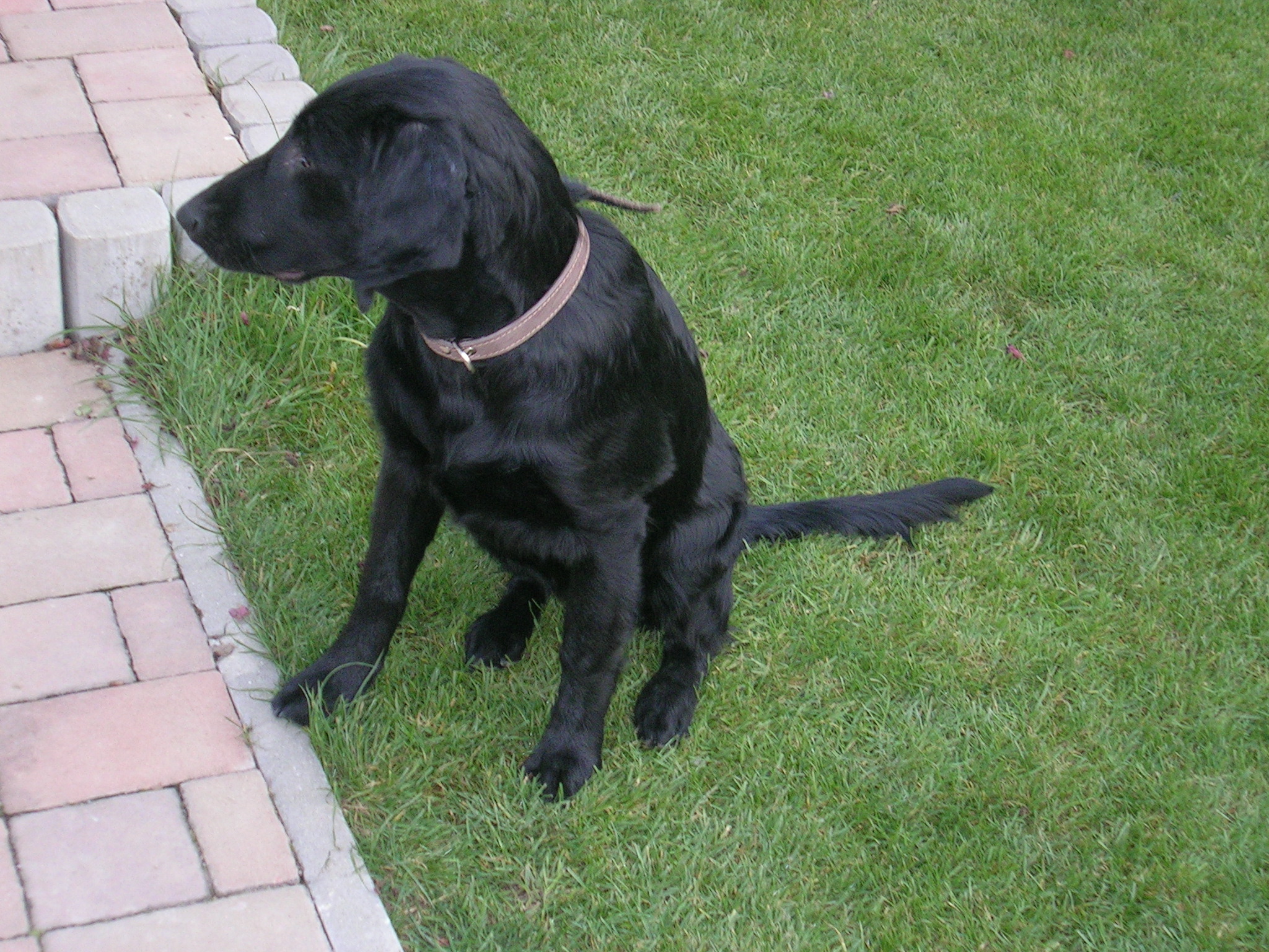DSCN6506.JPG
